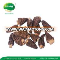 New Crop Dried Morel Mushrooms Dried Morels Mushroom Price for Sale