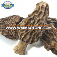 Detan dried morel mushrooms china