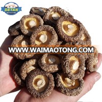 Detan Dried Shitake Mushrooms price