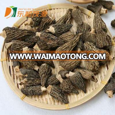 dried wild morels mushrooms dried morel chinese mushrooms dried morel mushrooms for sale Morchella esculenta