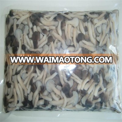 Manufacture supply pleurotus cornucopiae 1kg bag salted shimeji mushroom white pleurotus cornucopiae price