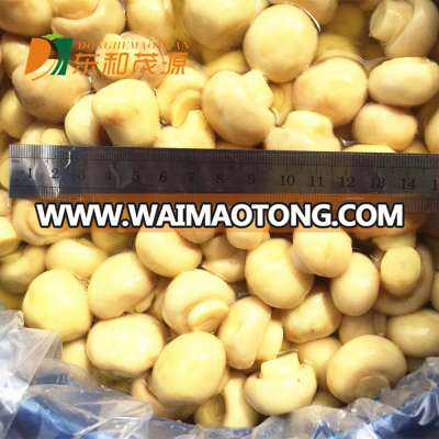 tricholoma matsutake mushroom tube preserved vegetable fresh vegetable preservatives