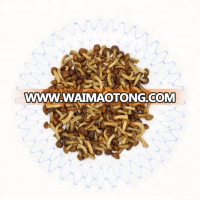 Best-selling 50kg drum Brined Nameko Mushroom Market Price