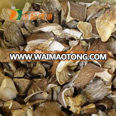 oyster mushroom powder oyster mushroom cube bag oyster