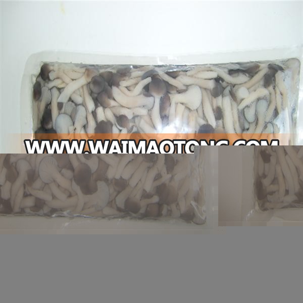 packed in 1kg vacuum bag shimeji mushroom shimeji mushroom price bottle pleurotus mushrooms for Brazil