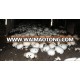 hottest sale cheap custom made brand dried agaricus bisporus