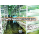 paper cap competitive price professional supplier for agaricus bisporus p.e.