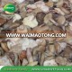 Brined Suillus Granulatus Mushrooms in Salt Manufacture