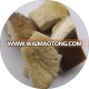 chinese 4x4cm brown oyster mushroom quarter