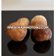 wholesale frozen delicious good porcini edulis wild and growing boletus